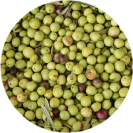 Azeitonas verdes