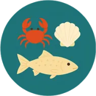 Imagens representativas de peixe e marisco